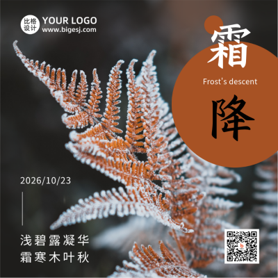 霜降节气秋天黄叶霜露实景简约方形海报 模板ID:22891