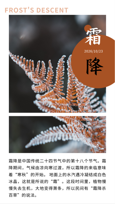 霜降节气秋天黄叶霜露实景简约竖版配图 模板ID:22894
