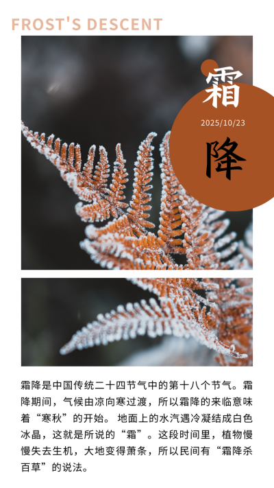 霜降节气秋天黄叶霜露实景简约竖版配图 模板ID:22894