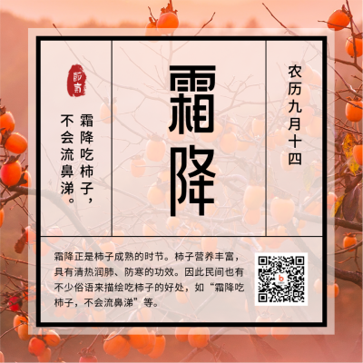 霜降节气秋天柿子实景大气方形海报 模板ID:22903