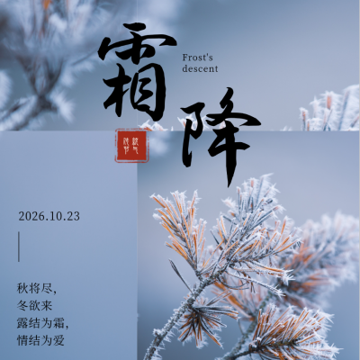 二十四节气简约霜降节气方形海报 模板ID:23109