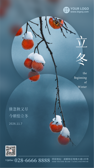 立冬节气冬季浆果雪景简约实景手机海报 模板ID:23600