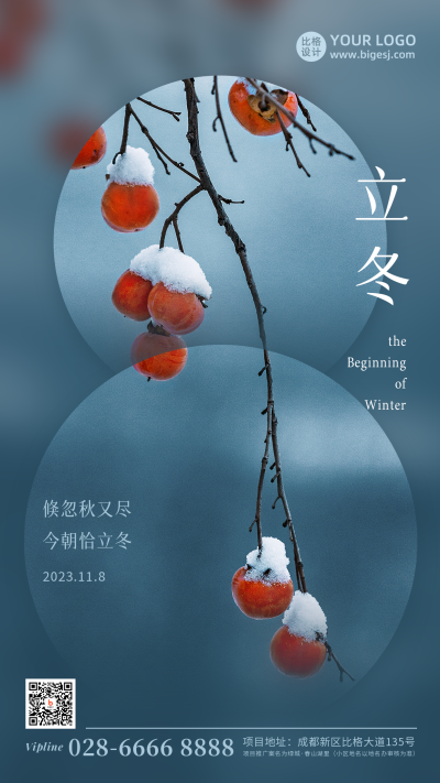 立冬节气冬季浆果雪景简约实景手机海报 模板ID:23600