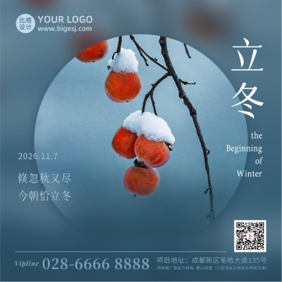 立冬节气冬季浆果雪景简约实景方形海报 模板ID:23601