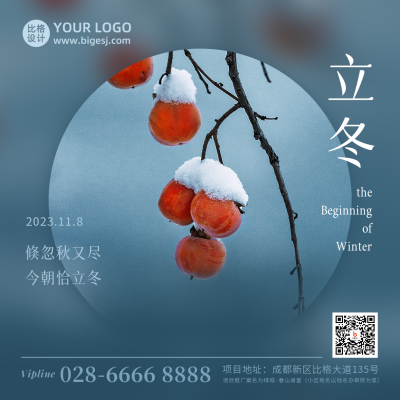 立冬节气冬季浆果雪景简约实景方形海报 模板ID：23601