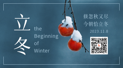 立冬节气冬季浆果雪景简约实景二维码 模板ID：23602