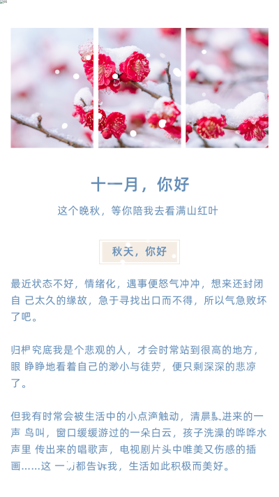冬日简约文艺十一月你好日签竖版配图 模板ID：23678