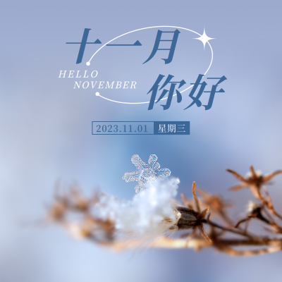 十一月你好日签简约实景蓝色方形海报 模板ID:23682