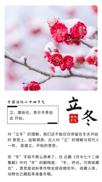 简约文艺中国二十四节气立冬竖版配图 模板ID：23827
