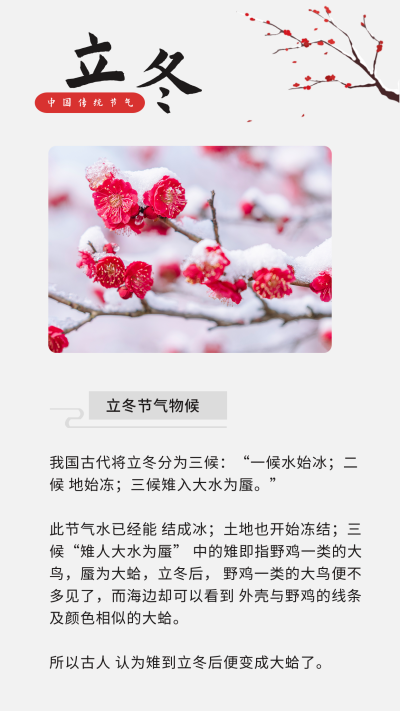 手绘冬季梅花二十四立冬节气竖版配图 模板ID:23834