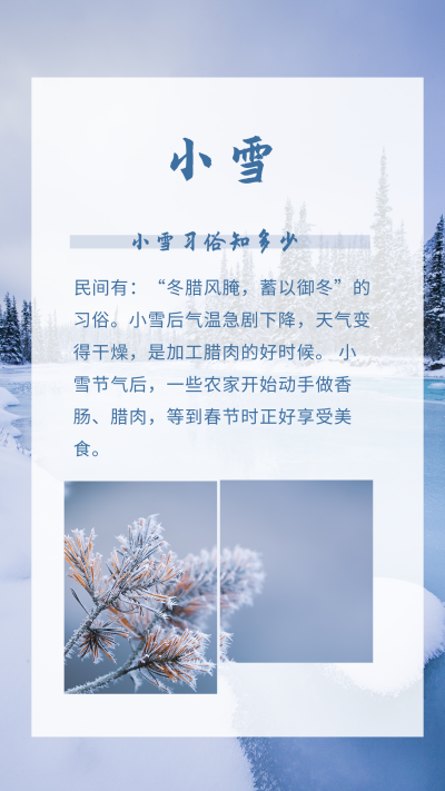 简约冬季雪景小雪节气竖版配图 模板ID:24090