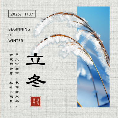 立冬节气冬天实景方形海报 模板ID:24164