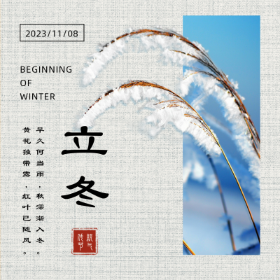 立冬节气冬天实景方形海报 模板ID：24164