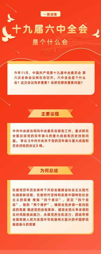 政务图解十九届六中全会宣传长图海报 模板ID:24319
