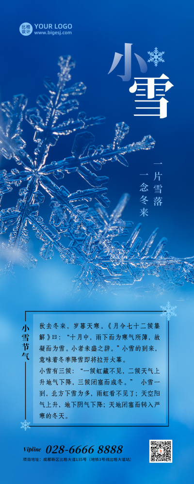 小雪大雪节气冬季雪花特写实景长图海报 模板ID：24493