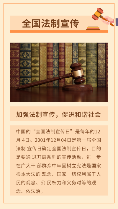 法制宣传政务党政竖版配图 模板ID:24681