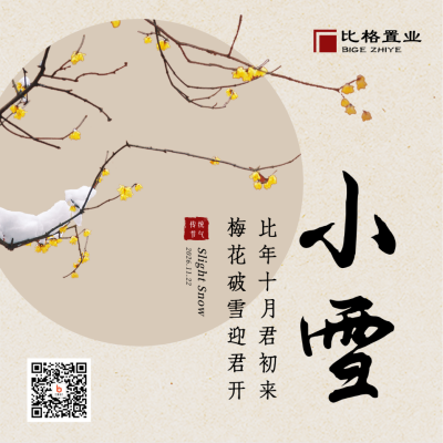 小雪大雪节气冬季简约地产中国风方形海报 模板ID:24774