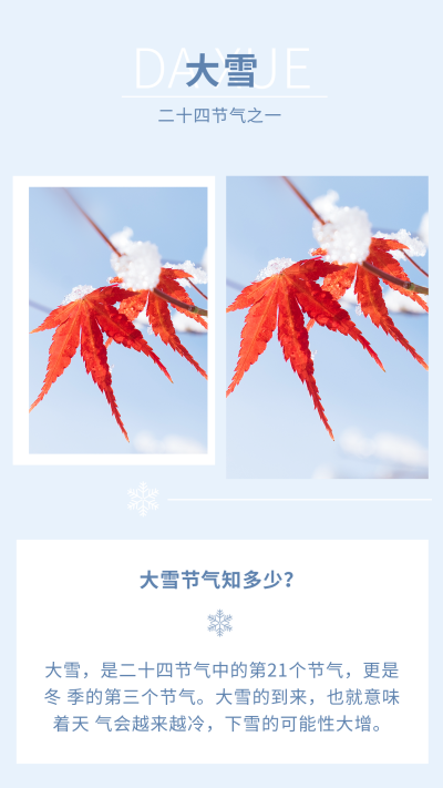 大雪小雪节气冬季雪景竖版配图 模板ID：25017