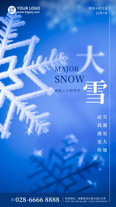 大雪小雪节气冬天雪花简约实景手机海报 模板ID：25573