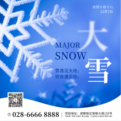 大雪小雪节气冬天雪花简约实景方形海报 模板ID:25574
