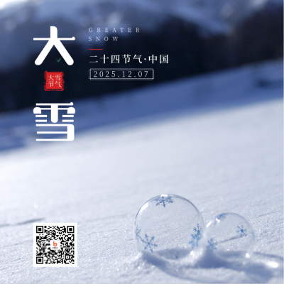 二十四节气大雪简约实景蓝色方形海报 模板ID:25615