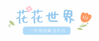 通用网络热词艺术字体标题花花世界一杯拥抱鲜活冬日 模板ID：26893