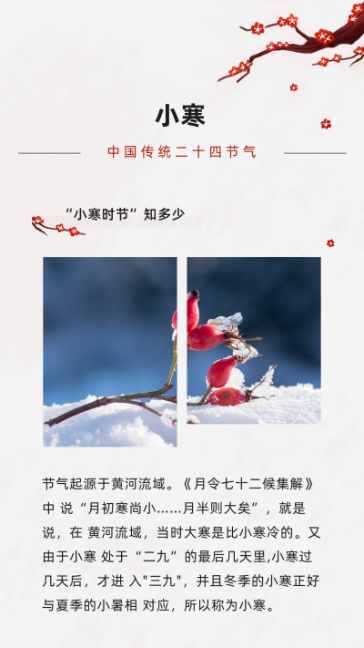 手绘冬季梅花小寒节气竖版配图 模板ID：27082