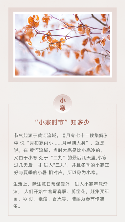 简约中国传统二十四节气小寒竖版配图 模板ID:27083