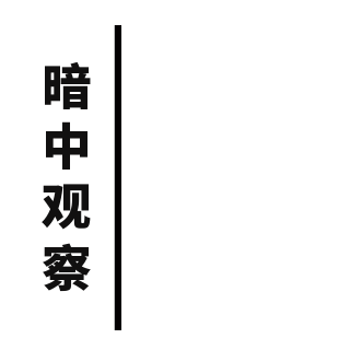 暗中观察网络热词趣味表情包 模板ID:27171