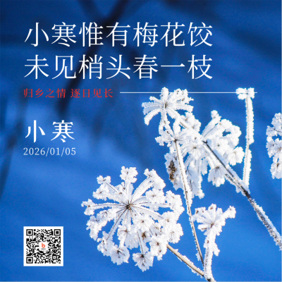 二十四节气小寒冬季简约实景蓝色方形海报 模板ID：27343