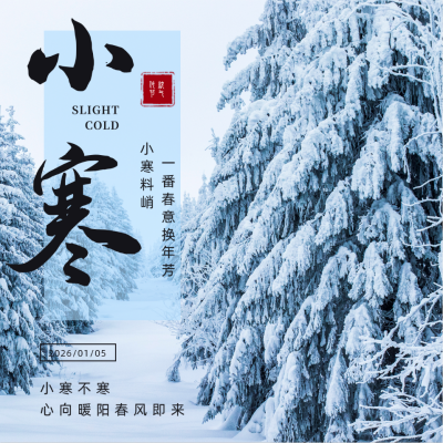 简约雪景小寒节气方形海报 模板ID：27413
