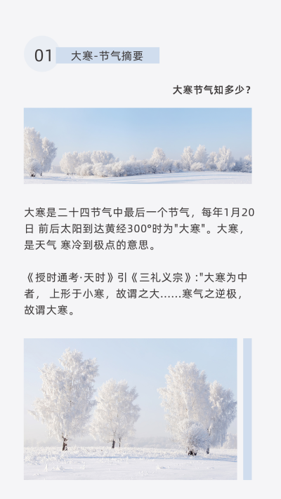 小寒节气文艺清新竖版配图 模板ID：27424