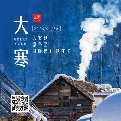 二十四节气大寒冬季简约实景蓝色方形海报 模板ID:27714