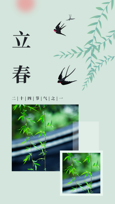 手绘春天燕子飞来立春节气竖版配图 模板ID：28244