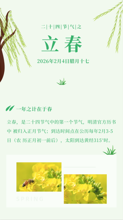 手绘春天杨柳立春春分节气竖版配图 模板ID:28245