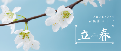 立春简约实景花朵蓝色公众号首图 模板ID:28503
