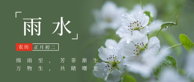 二十四节气雨水简约实景绿色公众号首图 模板ID：29254