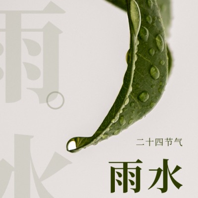 简约雨水实景节气公众号次图 模板ID：29271