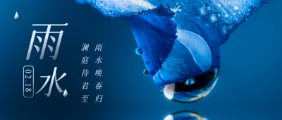 简约实景雨水节气祝福公众号首图 模板ID:29277