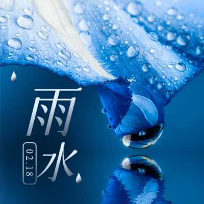简约实景雨水节气祝福公众号次图 模板ID:29278
