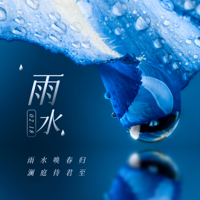 简约实景雨水节气祝福方形海报 模板ID：29279