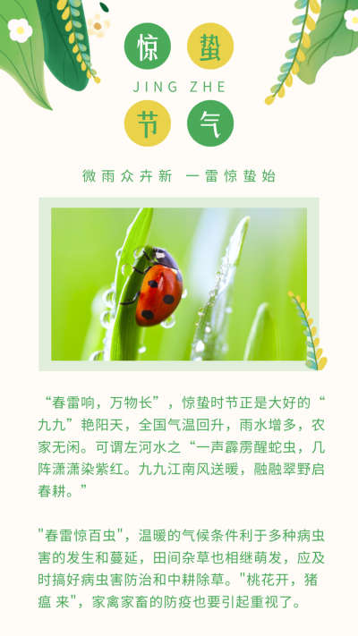 手绘清新春天植物惊蛰节日竖版配图 模板ID：29502