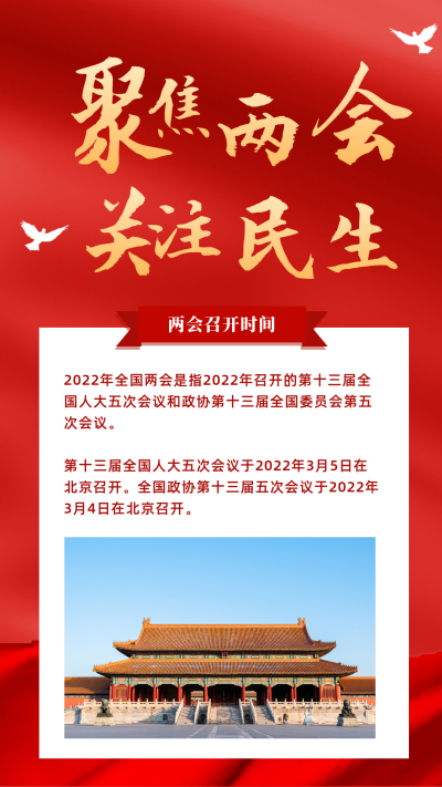 政务新闻精神融媒体宣传竖版配图 模板ID:29503