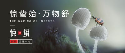 二十四节气惊蛰简约实景绿色公众号首图 模板ID:29639
