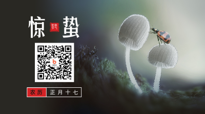 二十四节气惊蛰简约实景绿色二维码 模板ID：29642