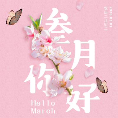 清新桃花三月你好月初问候方形海报 模板ID:29802