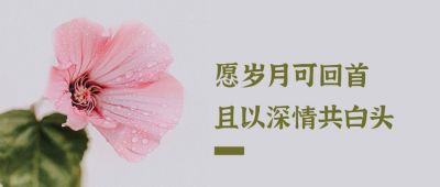 文艺清新粉色花朵日签话题励志首图 模板ID：139