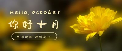 黄色小花文艺清新你好十月公众号首图 模板ID:2012