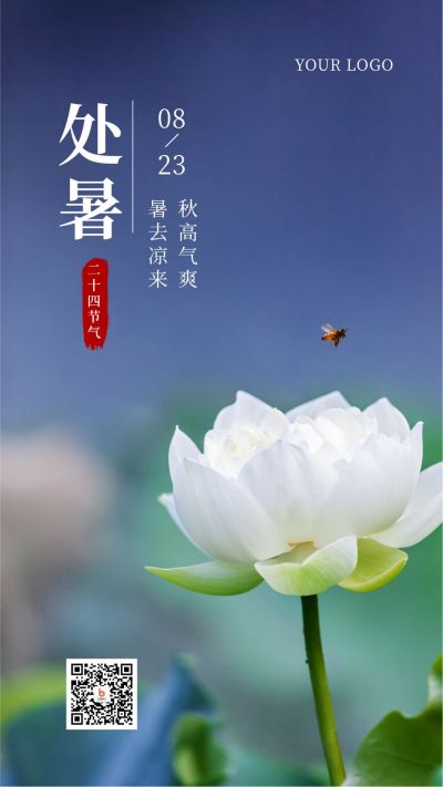 二十四节气处暑实景绿色荷花简约蓝色手机海报 模板ID：509