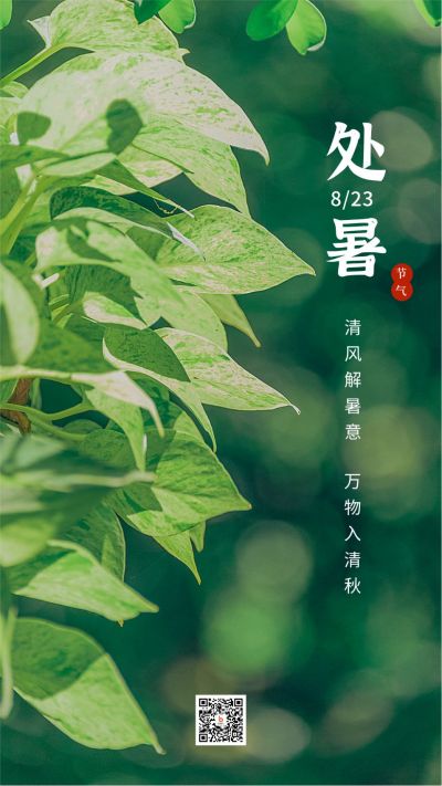 绿色小清新二十四节气叶子处暑手机海报 模板ID：669